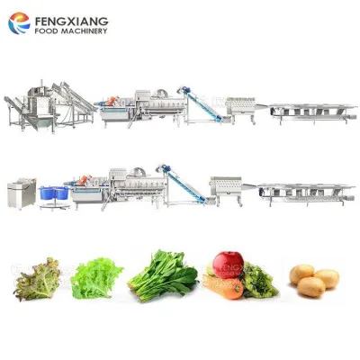 Производственная линия для резки и сушки листового овощного салата